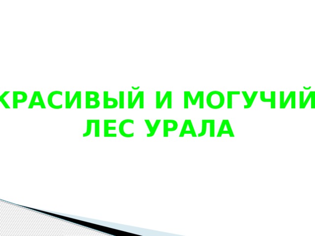 КРАСИВЫЙ И МОГУЧИЙ ЛЕС УРАЛА 