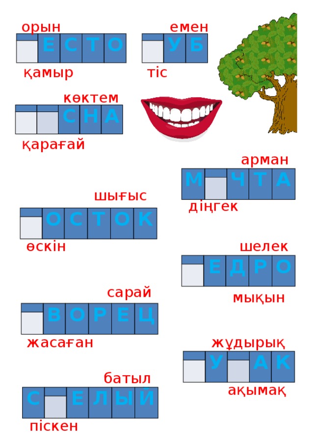 емен орын     У   Б Е   С Т О қамыр тіс көктем         С Н А қарағай арман М   Ч   Т А шығыс діңгек     О С Т О К өскін шелек     Е Д Р О сарай мықын     В О Р Е Ц жұдырық жасаған   У       А К батыл ақымақ С     Е Л Ы Й піскен 