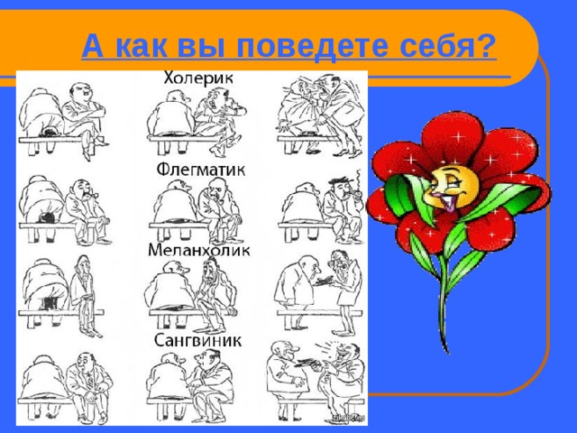 А как вы поведете себя? 
