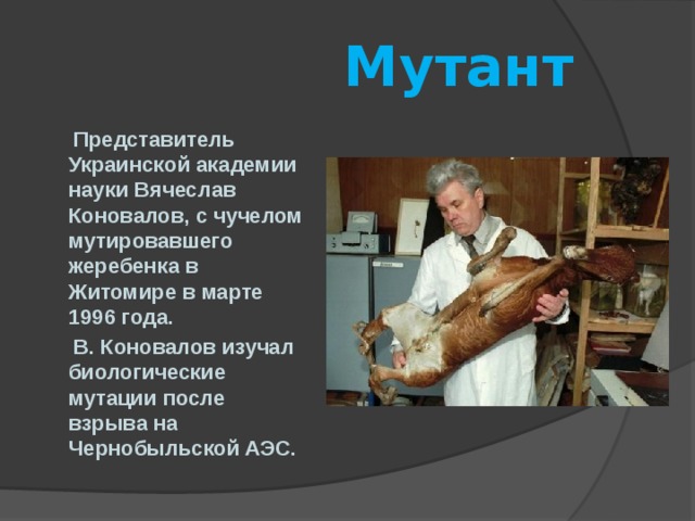  Мутант  Представитель Украинской академии науки Вячеслав Коновалов, с чучелом мутировавшего жеребенка в Житомире в марте 1996 года.  В. Коновалов изучал биологические мутации после взрыва на Чернобыльской АЭС.  