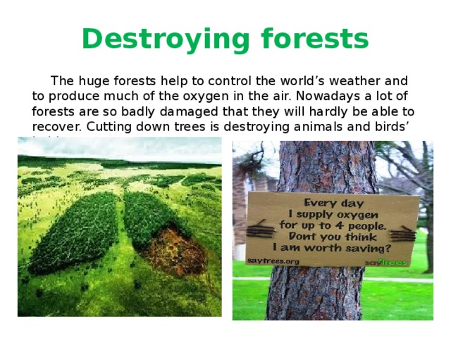 Destroying forests  The huge forests help to control the world’s weather and to produce much of the oxygen in the air. Nowadays a lot of forests are so badly damaged that they will hardly be able to recover. Cutting down trees is destroying animals and birds’ habitats. 
