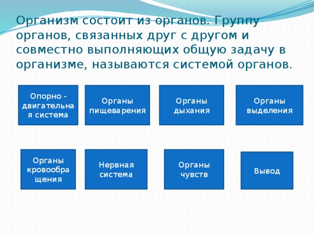 Организм состоит из органов. Группу органов, связанных друг с другом и совместно выполняющих общую задачу в организме, называются системой органов. Опорно - двигательная система Органы пищеварения Органы дыхания Органы выделения Органы кровообращения Нервная система Органы чувств Вывод 