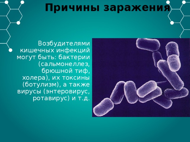 Причины заражения Возбудителями кишечных инфекций могут быть: бактерии (сальмонеллез, брюшной тиф, холера), их токсины (ботулизм), а также вирусы (энтеровирус, ротавирус) и т.д. 