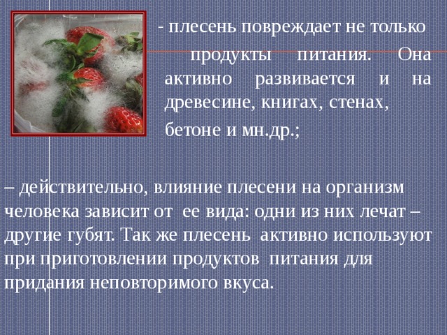  - плесень повреждает не только  продукты питания. Она активно развивается и на древесине, книгах, стенах, бетоне и мн.др.; – действительно, влияние плесени на организм человека зависит от ее вида: одни из них лечат – другие губят. Так же плесень активно используют при приготовлении продуктов питания для придания неповторимого вкуса. 