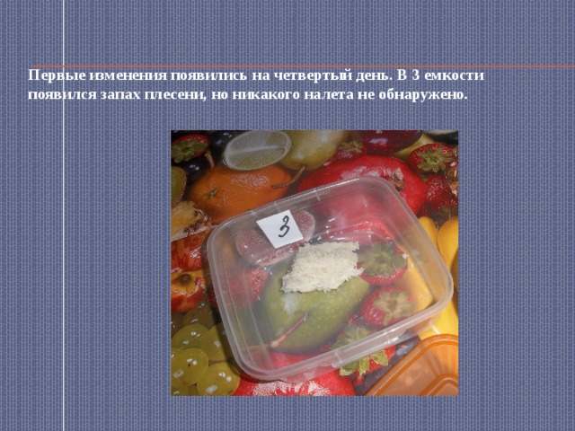  Первые изменения появились на четвертый день. В 3 емкости появился запах плесени, но никакого налета не обнаружено.   