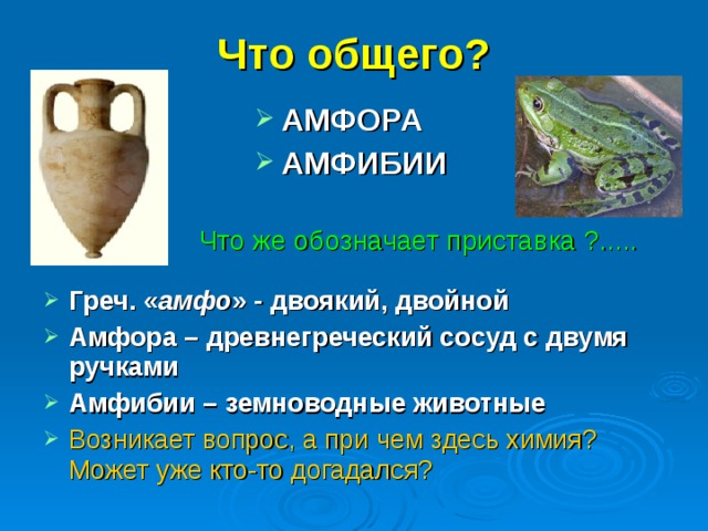Что общего? АМФОРА АМФИБИИ Что же обозначает приставка ?.....  Греч. « амфо » - двоякий, двойной Амфора – древнегреческий сосуд с двумя ручками Амфибии – земноводные животные Возникает вопрос, а при чем здесь химия? Может уже кто-то догадался?  