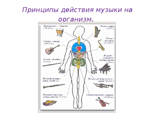 Принципы действия музыки на организм . 