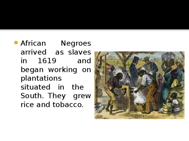 African Negroes arrived as slaves in 1619 and began working on plantations situated in the South. They grew rice and tobacco. 