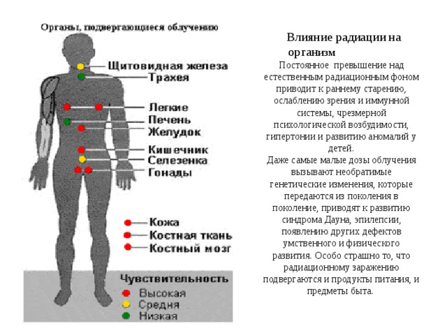  Влияние радиации на орган изм Постоянное превышение над естественным радиационным фоном приводит к раннему старению, ослаблению зрения и иммунной системы, чрезмерной психологической возбудимости, гипертонии и развитию аномалий у детей.  Даже самые малые дозы облучения вызывают необратимые генетические изменения, которые передаются из поколения в поколение, приводят к развитию синдрома Дауна, эпилепсии, появлению других дефектов умственного и физического развития. Особо страшно то, что радиационному заражению подвергаются и продукты питания, и предметы быта. 