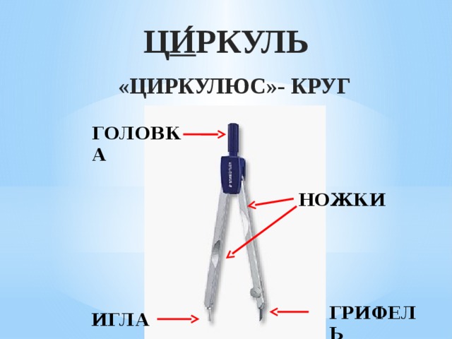    Ц и ́ ркуль   «циркулюс»- круг ГОЛОВКА НОЖКИ ГРИФЕЛЬ  ИГЛА 