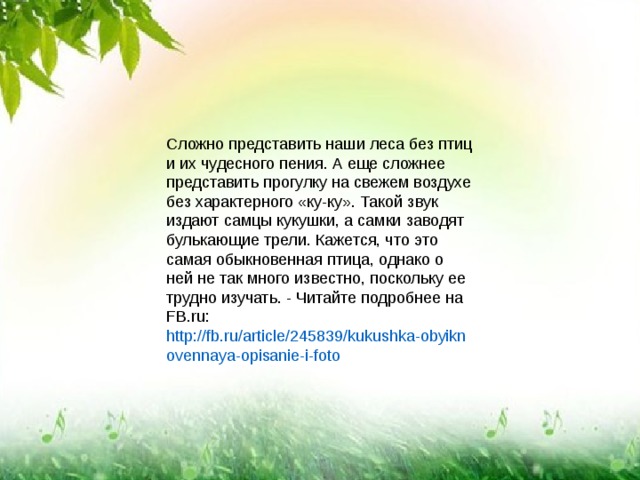 Сложно представить наши леса без птиц и их чудесного пения. А еще сложнее представить прогулку на свежем воздухе без характерного «ку-ку». Такой звук издают самцы кукушки, а самки заводят булькающие трели. Кажется, что это самая обыкновенная птица, однако о ней не так много известно, поскольку ее трудно изучать. - Читайте подробнее на FB.ru:  http://fb.ru/article/245839/kukushka-obyiknovennaya-opisanie-i-foto 