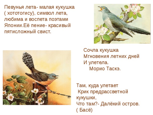 Певунья лета- малая кукушка ( хототогису), символ лета, любима и воспета поэтами Японии.Её пение- красивый пятисложный свист. Сочла кукушка  Мгновения летних дней  И улетела.      Морио Таскэ. Там, куда улетает  Крик предрассветной кукушки, Что там?- Далёкий остров. ( Басё) 
