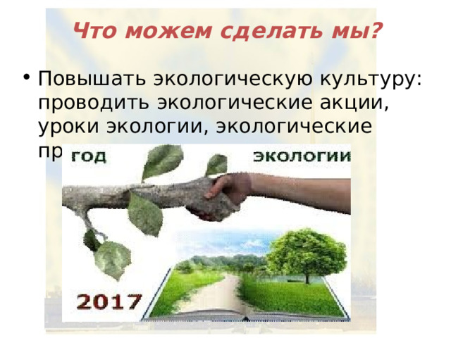 Что можем сделать мы? Повышать экологическую культуру: проводить экологические акции, уроки экологии, экологические проекты 