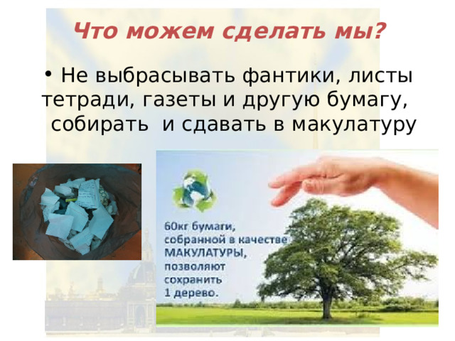 Что можем сделать мы?  Не выбрасывать фантики, листы тетради, газеты и другую бумагу,  собирать и сдавать в макулатуру 