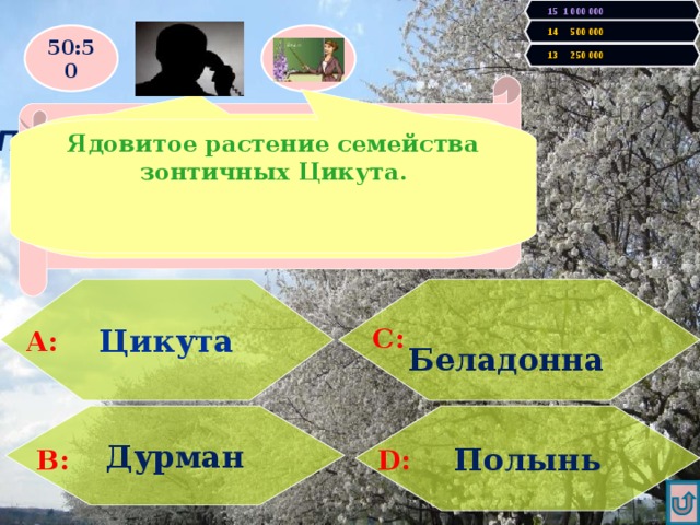 15 1 000 000 14 500 000 50:50 13 250 000 Правильно! У Вас 250000 очков! Продолжаем игру! Увы, Вы проиграли! Игра закончена. По легенде, Сократ был отравлен этим растением семейства Зонтичных. Затрудняюсь ответить. Ядовитое растение семейства зонтичных Цикута.  Цикута Беладонна  А: С: Дурман Полынь В: D: 
