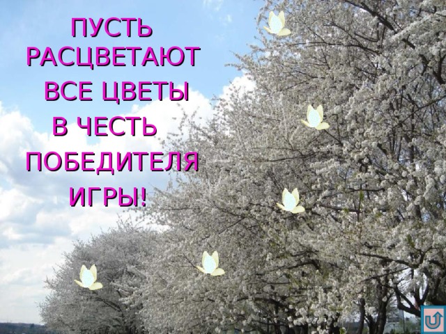 ПУСТЬ РАСЦВЕТАЮТ  ВСЕ ЦВЕТЫ В ЧЕСТЬ  ПОБЕДИТЕЛЯ ИГРЫ! 