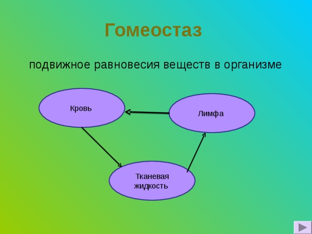 Гомеостаз  подвижное равновесия веществ в организме Кровь Лимфа Тканевая жидкость 