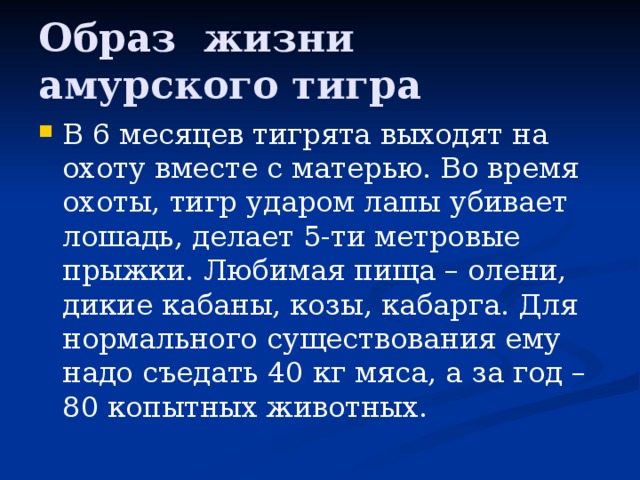 Образ жизни амурского тигра В 6 месяцев тигрята выходят на охоту вместе с матерью. Во время охоты, тигр ударом лапы убивает лошадь, делает 5-ти метровые прыжки. Любимая пища – олени, дикие кабаны, козы, кабарга. Для нормального существования ему надо съедать 40 кг мяса, а за год – 80 копытных животных. 