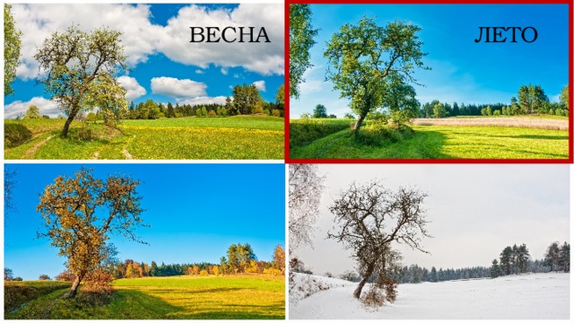 ЛЕТО ВЕСНА 