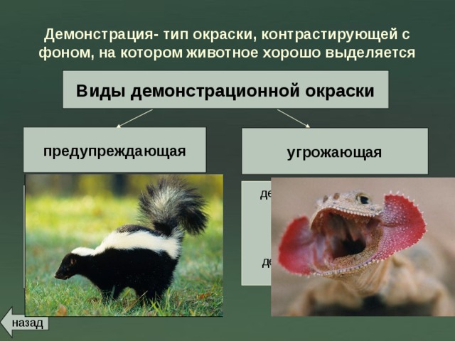 Демонстрация-  тип окраски, контрастирующей с фоном, на котором животное хорошо выделяется Виды демонстрационной окраски предупреждающая угрожающая демонстрация, не связанная  с несъедобностью или  ядовитостью, которая обычно сочетается с криптической окраской; демонстрируется внезапно, в случае опасности Сочетание яркой окраски с различными защитными  приспособлениями; характерна для ядовитых или несъедобных организмов назад 