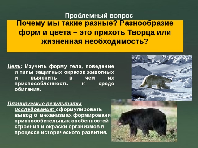 Проблемный вопрос Почему мы такие разные? Разнообразие форм и цвета – это прихоть Творца или жизненная необходимость?   Цель : Изучить форму тела, поведение и типы защитных окрасок животных и выяснить в чем их приспособленность к среде обитания.  Планируемые результаты исследования: сформулировать вывод о механизмах формирования приспособительных особенностей строения и окраски организмов в процессе исторического развития. 