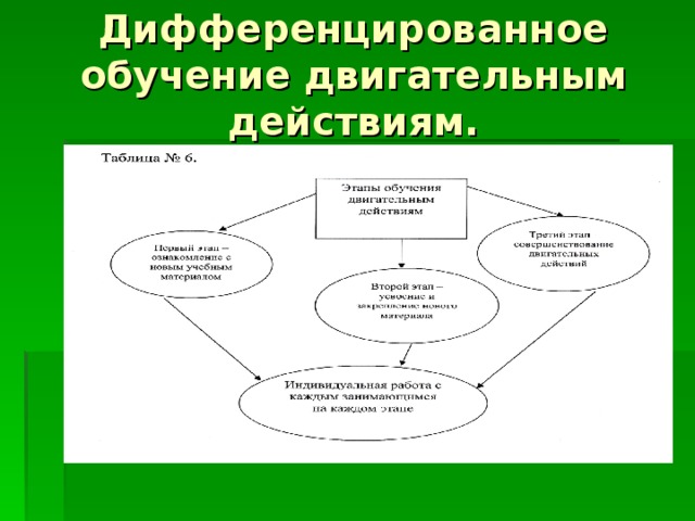 Дифференцированное обучение двигательным действиям. 