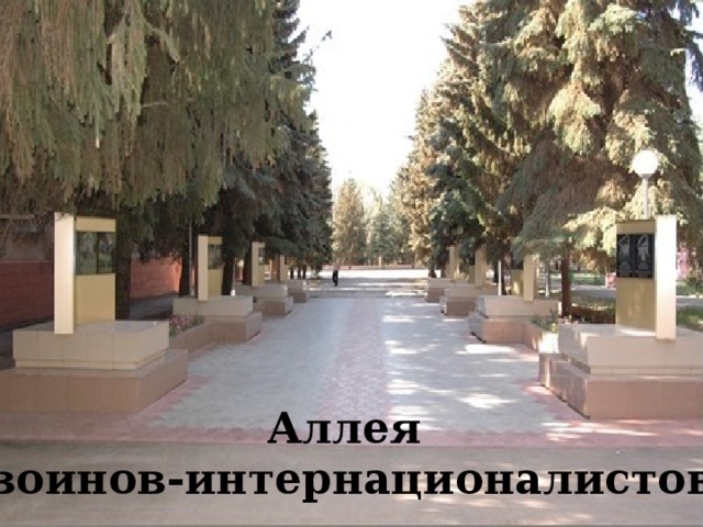Аллея воинов-интернационалистов 