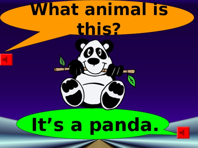 What animal is this? It’s a panda. 