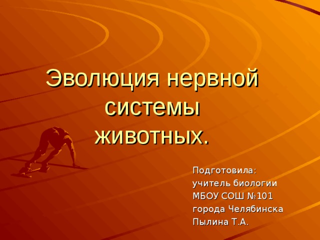 Эволюция нервной системы  животных.   Подготовила: учитель биологии МБОУ СОШ №101 города Челябинска Пылина Т.А. 