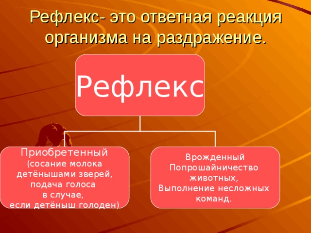 Рефлекс- это ответная реакция организма на раздражение. Рефлекс Приобретенный (сосание молока  детёнышами зверей, подача голоса в случае, если детёныш голоден) Врожденный Попрошайничество животных, Выполнение несложных команд. 