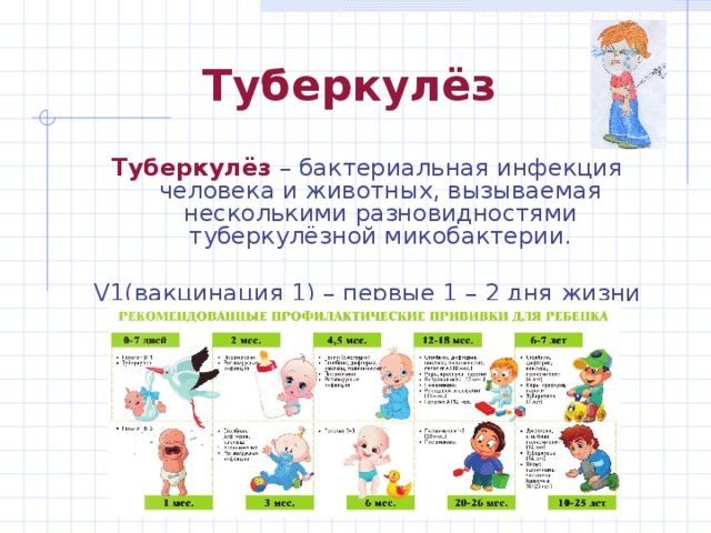 Туберкулёз Туберкулёз – бактериальная инфекция человека и животных, вызываемая несколькими разновидностями туберкулёзной микобактерии. V1(вакцинация 1) – первые 1 – 2 дня жизни  RW(ревакцинация) – 7 и 14 лет 