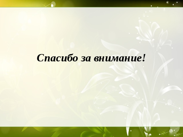 Спасибо за внимание!  