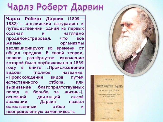 Чарлз Ро́берт Да́рвин (1809—1882) — английский натуралист и путешественник, одним из первых осознал и наглядно продемонстрировал, что все живые организмы эволюционируют во времени от общих предков. В своей теории, первое развёрнутое изложение которой было опубликовано в 1859 году в книге «Происхождение видов» (полное название: «Происхождение видов путём естественного отбора, или выживание благоприятствуемых пород в борьбе за жизнь»), основной движущей силой эволюции Дарвин назвал естественный отбор и неопределённую изменчивость. 