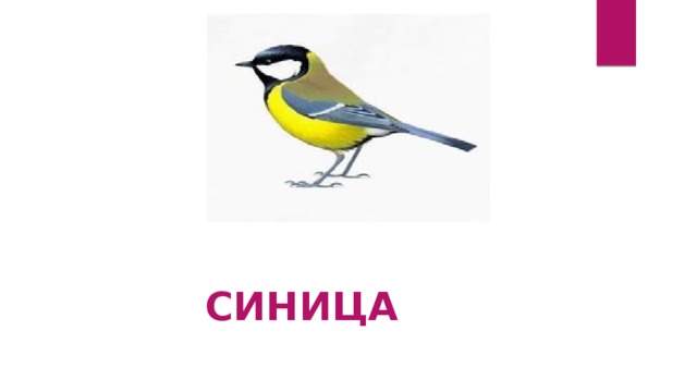 СИНИЦА 