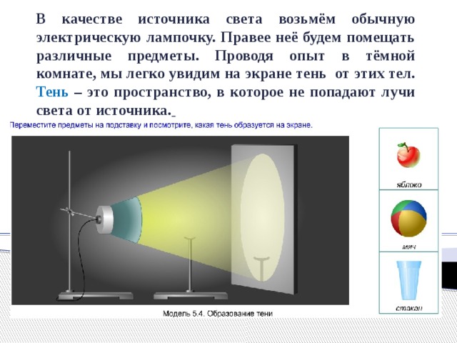 В качестве источника света возьмём обычную электрическую лампочку. Правее неё будем помещать различные предметы. Проводя опыт в тёмной комнате, мы легко увидим на экране тень от этих тел. Тень – это пространство, в которое не попадают лучи света от источника.  