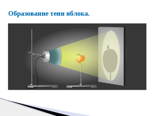 Образование тени яблока. 