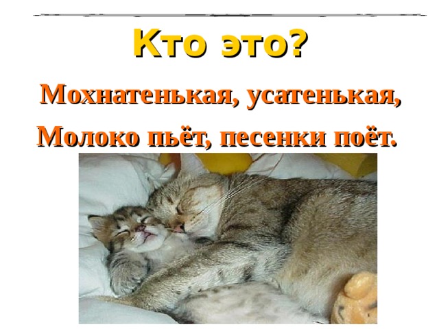 Кто это? Мохнатенькая, усатенькая, Молоко пьёт, песенки поёт.   