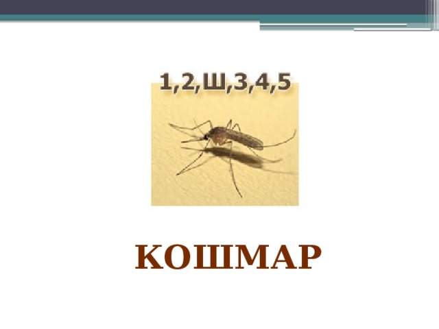 кошмар 
