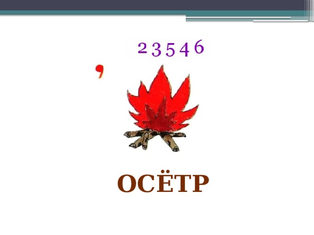 осётр 