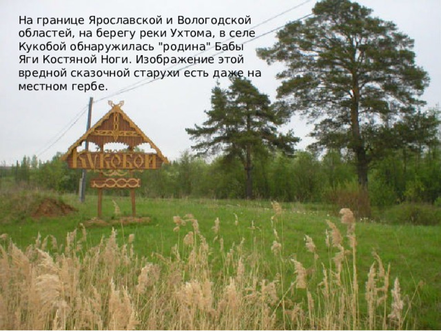 На границе Ярославской и Вологодской областей, на берегу реки Ухтома, в селе Кукобой обнаружилась 