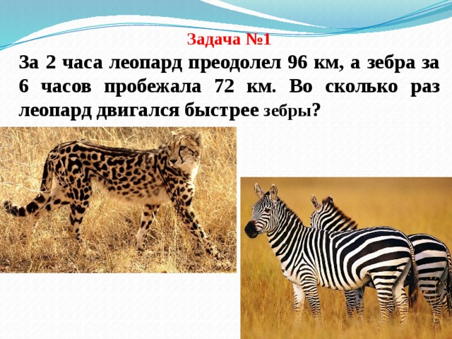 Задача №1 За 2 часа леопард преодолел 96 км, а зебра за 6 часов пробежала 72 км. Во сколько раз леопард двигался быстрее зебры ? 
