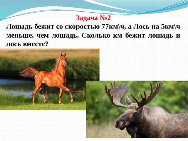 Задача №2 Лошадь бежит со скоростью 77км\ч, а Лось на 5км\ч меньше, чем лошадь. Сколько км бежит лошадь и лось вместе? 