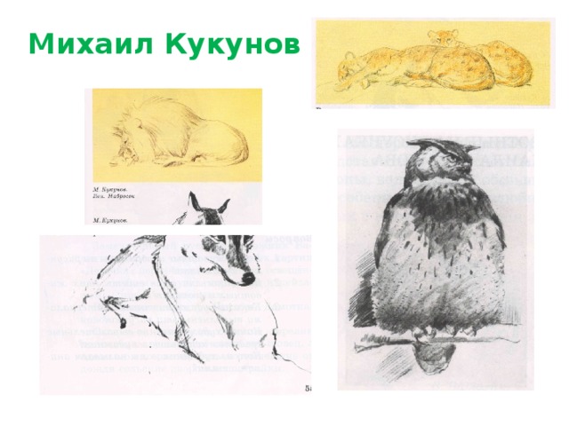 Михаил Кукунов 