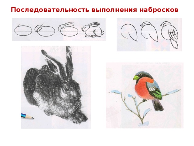 Последовательность выполнения набросков 