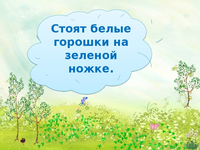 Стоят белые горошки на зеленой ножке.   