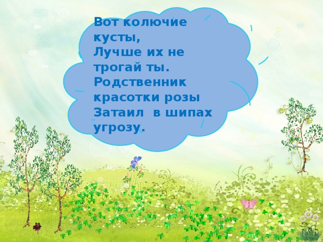 Вот колючие кусты, Лучше их не трогай ты. Родственник красотки розы Затаил в шипах угрозу.     