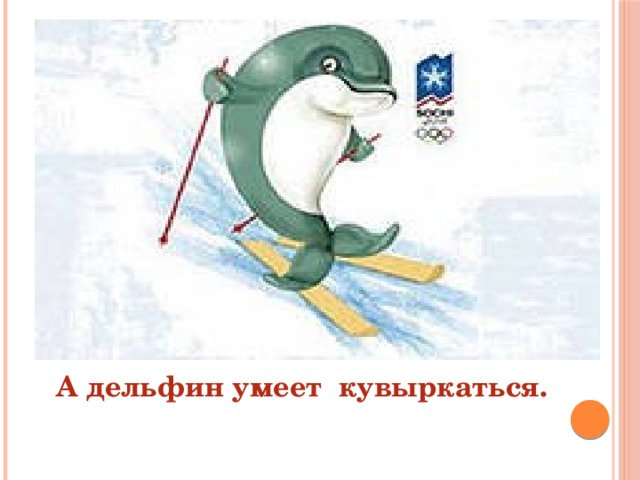  А дельфин умеет кувыркаться. 