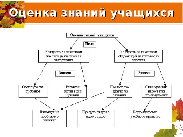 Оценка знаний учащихся 