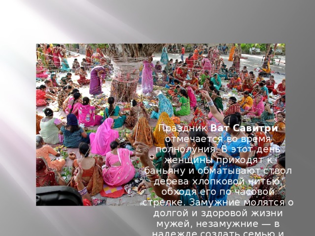Праздник Ват Савитри отмечается во время полнолуния. В этот день женщины приходят к баньяну и обматывают ствол дерева хлопковой нитью, обходя его по часовой стрелке. Замужние молятся о долгой и здоровой жизни мужей, незамужние — в надежде создать семью и родить детей 