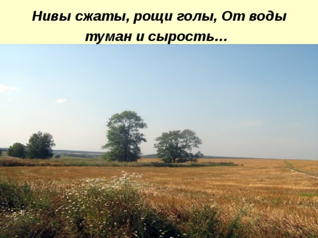 Нивы сжаты, рощи голы, От воды туман и сырость…  